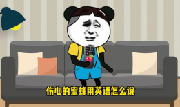 搞笑动画视频,笑点满满，欢乐无限